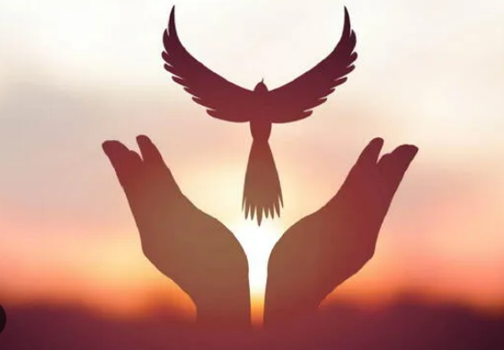 Screenshot 2024-09-23 100139