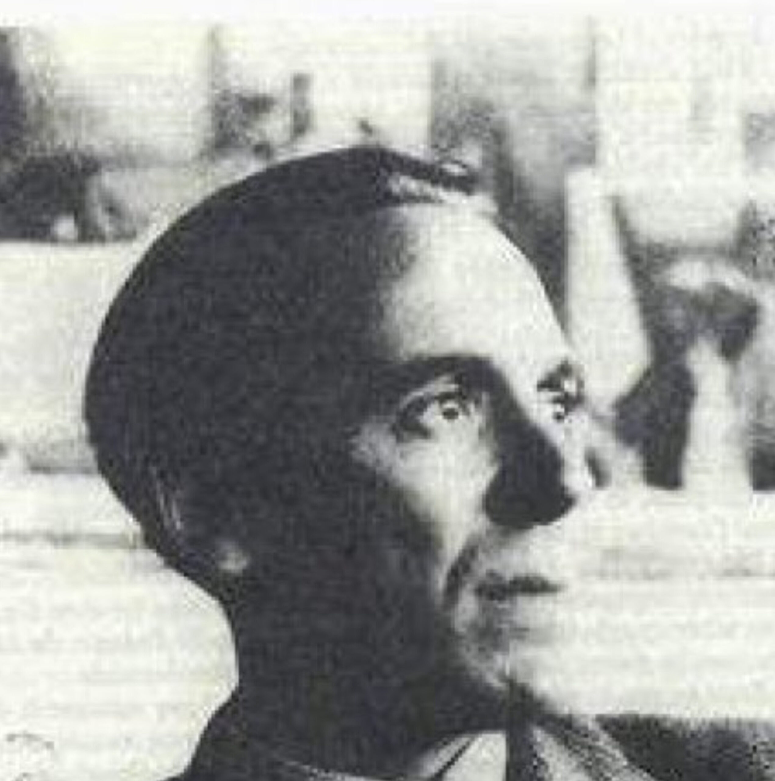 InShot_20241028_091247820